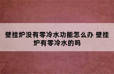 壁挂炉没有零冷水功能怎么办 壁挂炉有零冷水的吗